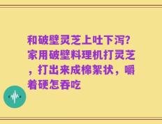 和破壁灵芝上吐下泻？家用破壁料理机打灵芝，打出来成棉絮状，嚼着硬怎吞吃