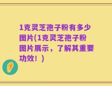 1克灵芝孢子粉有多少图片(1克灵芝孢子粉图片展示，了解其重要功效！)
