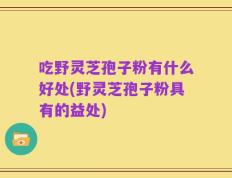 吃野灵芝孢子粉有什么好处(野灵芝孢子粉具有的益处)