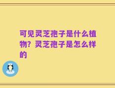 可见灵芝孢子是什么植物？灵芝孢子是怎么样的
