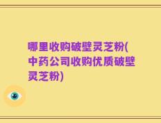 哪里收购破壁灵芝粉(中药公司收购优质破壁灵芝粉)