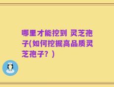 哪里才能挖到 灵芝孢子(如何挖掘高品质灵芝孢子？)