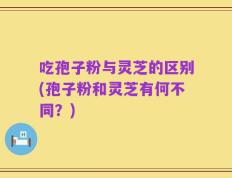 吃孢子粉与灵芝的区别(孢子粉和灵芝有何不同？)