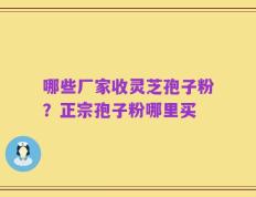 哪些厂家收灵芝孢子粉？正宗孢子粉哪里买