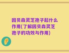因贝森灵芝孢子起什么作用(了解因贝森灵芝孢子的功效与作用)