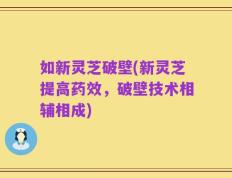 如新灵芝破壁(新灵芝提高药效，破壁技术相辅相成)