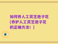 如何养人工灵芝孢子花(养护人工灵芝孢子花的正确方法！)
