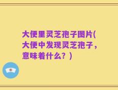 大便里灵芝孢子图片(大便中发现灵芝孢子，意味着什么？)