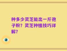 种多少灵芝能出一斤孢子粉？灵芝种植技巧详解？