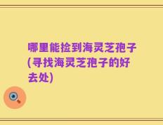 哪里能捡到海灵芝孢子(寻找海灵芝孢子的好去处)