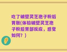 吃了破壁灵芝孢子粉后胃胀(体验破壁灵芝孢子粉后胃部反应，感觉如何？)
