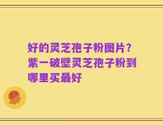 好的灵芝孢子粉图片？紫一破壁灵芝孢子粉到哪里买最好