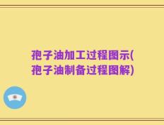 孢子油加工过程图示(孢子油制备过程图解)