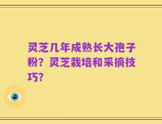 灵芝几年成熟长大孢子粉？灵芝栽培和采摘技巧？