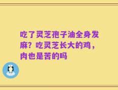 吃了灵芝孢子油全身发麻？吃灵芝长大的鸡，肉也是苦的吗