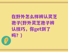 在野外怎么样辨认灵芝孢子(野外灵芝孢子辨认技巧，你get到了吗？)