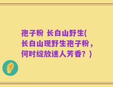 孢子粉 长白山野生(长白山现野生孢子粉，何时绽放迷人芳香？)
