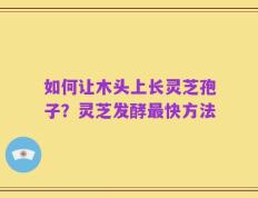 如何让木头上长灵芝孢子？灵芝发酵最快方法