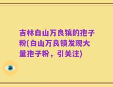 吉林白山万良镇的孢子粉(白山万良镇发现大量孢子粉，引关注)