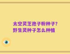 太空灵芝孢子粉种子？野生灵种子怎么种植