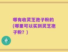 哪有收灵芝孢子粉的 (哪里可以买到灵芝孢子粉？)