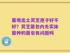 墓地出土灵芝孢子好不好？灵芝菌包内无实体菌种的菌包有问题吗