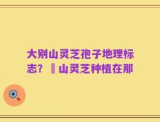 大别山灵芝孢子地理标志？碭山灵芝种植在那