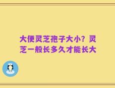 大便灵芝孢子大小？灵芝一般长多久才能长大