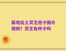 墓地出土灵芝孢子图片视频？灵芝有种子吗