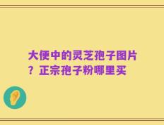 大便中的灵芝孢子图片？正宗孢子粉哪里买