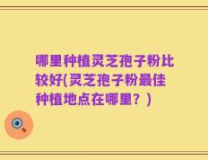 哪里种植灵芝孢子粉比较好(灵芝孢子粉最佳种植地点在哪里？)