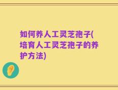 如何养人工灵芝孢子(培育人工灵芝孢子的养护方法)