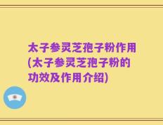 太子参灵芝孢子粉作用(太子参灵芝孢子粉的功效及作用介绍)