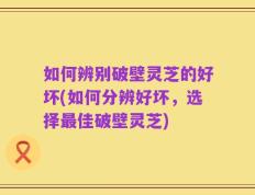 如何辨别破壁灵芝的好坏(如何分辨好坏，选择最佳破壁灵芝)