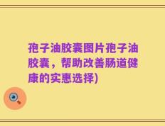 孢子油胶囊图片孢子油胶囊，帮助改善肠道健康的实惠选择)