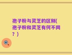 孢子粉与灵芝的区别(孢子粉和灵芝有何不同？)
