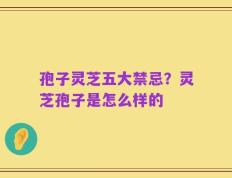 孢子灵芝五大禁忌？灵芝孢子是怎么样的