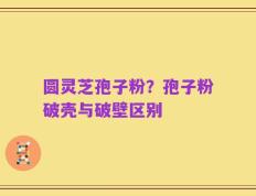 圆灵芝孢子粉？孢子粉破壳与破壁区别