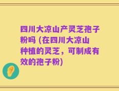 四川大凉山产灵芝孢子粉吗 (在四川大凉山种植的灵芝，可制成有效的孢子粉)