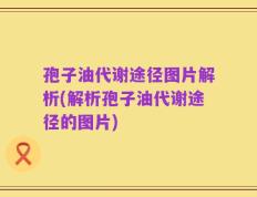 孢子油代谢途径图片解析(解析孢子油代谢途径的图片)