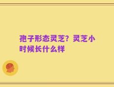 孢子形态灵芝？灵芝小时候长什么样
