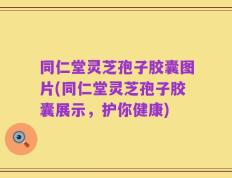 同仁堂灵芝孢子胶囊图片(同仁堂灵芝孢子胶囊展示，护你健康)