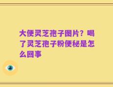 大便灵芝孢子图片？喝了灵芝孢子粉便秘是怎么回事