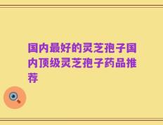 国内最好的灵芝孢子国内顶级灵芝孢子药品推荐
