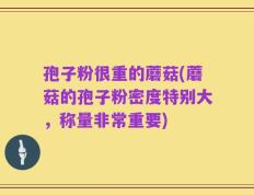 孢子粉很重的蘑菇(蘑菇的孢子粉密度特别大，称量非常重要)