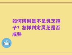 如何辨别是不是灵芝孢子？怎样判定灵芝是否成熟
