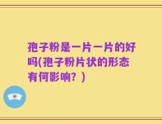 孢子粉是一片一片的好吗(孢子粉片状的形态有何影响？)