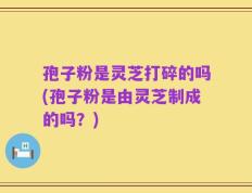 孢子粉是灵芝打碎的吗(孢子粉是由灵芝制成的吗？)