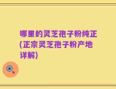哪里的灵芝孢子粉纯正(正宗灵芝孢子粉产地详解)