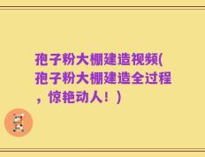 孢子粉大棚建造视频(孢子粉大棚建造全过程，惊艳动人！)